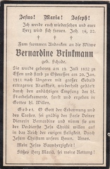 1.bp.schade(brinkmann).1832-1911.